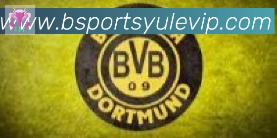 Bsports官网合作伙伴