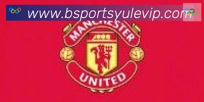 Bsports官网合作伙伴