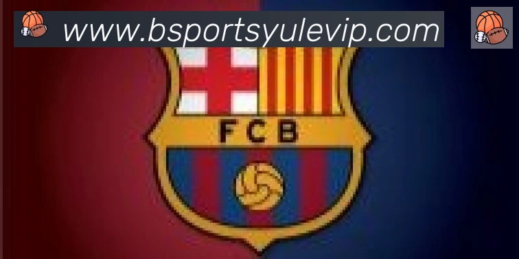 Bsports官网合作伙伴