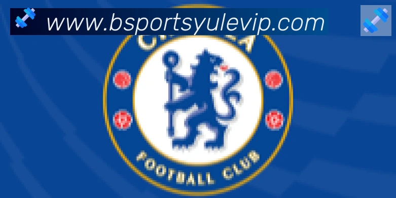 Bsports官网合作伙伴